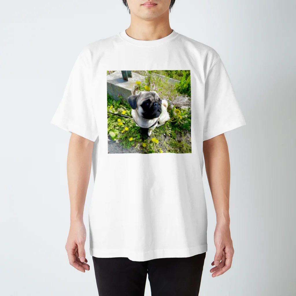 マンモスショップの犬の服 スタンダードTシャツ