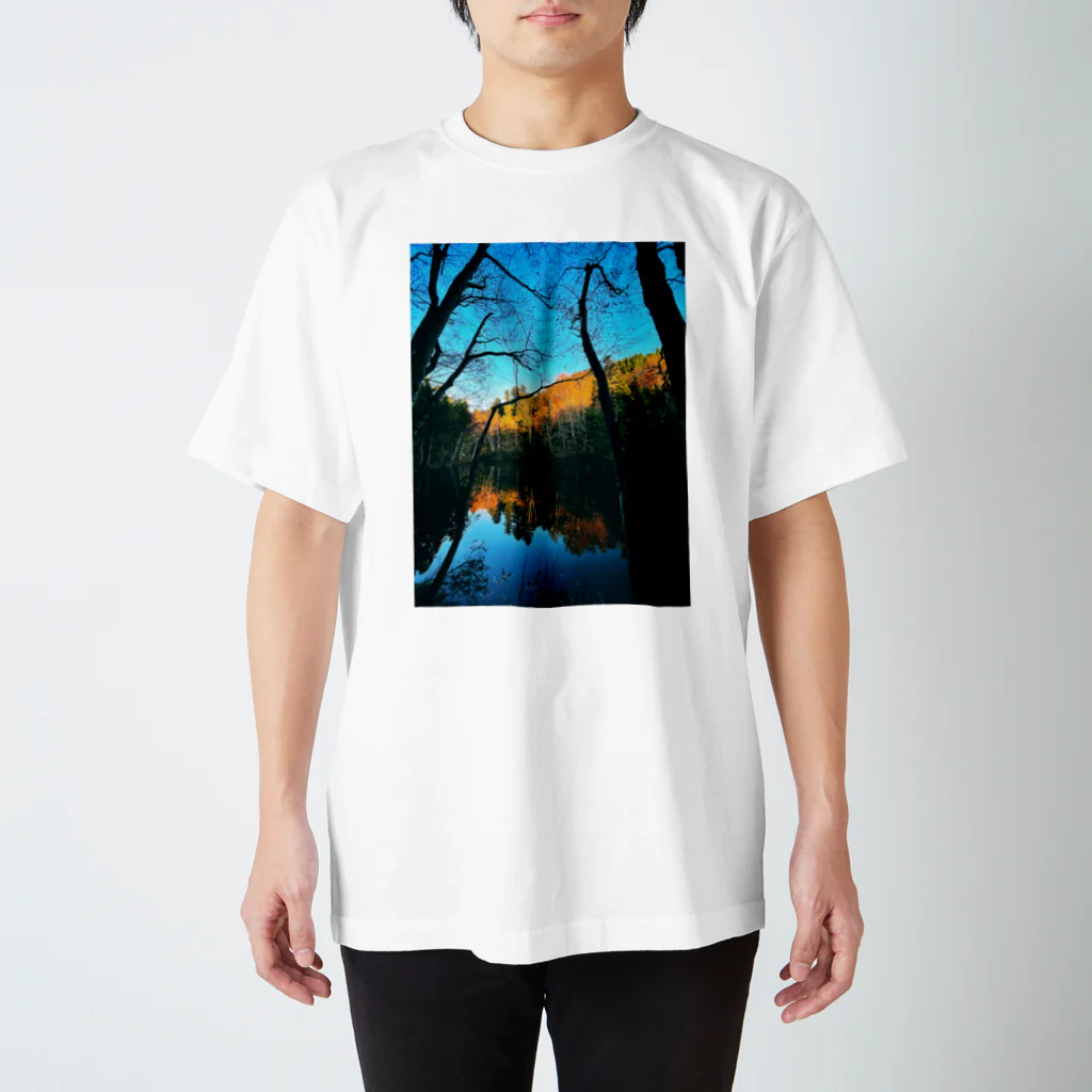 SwellのColor of the Forest スタンダードTシャツ