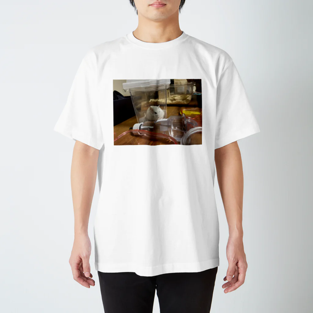 ニノのてすと Regular Fit T-Shirt