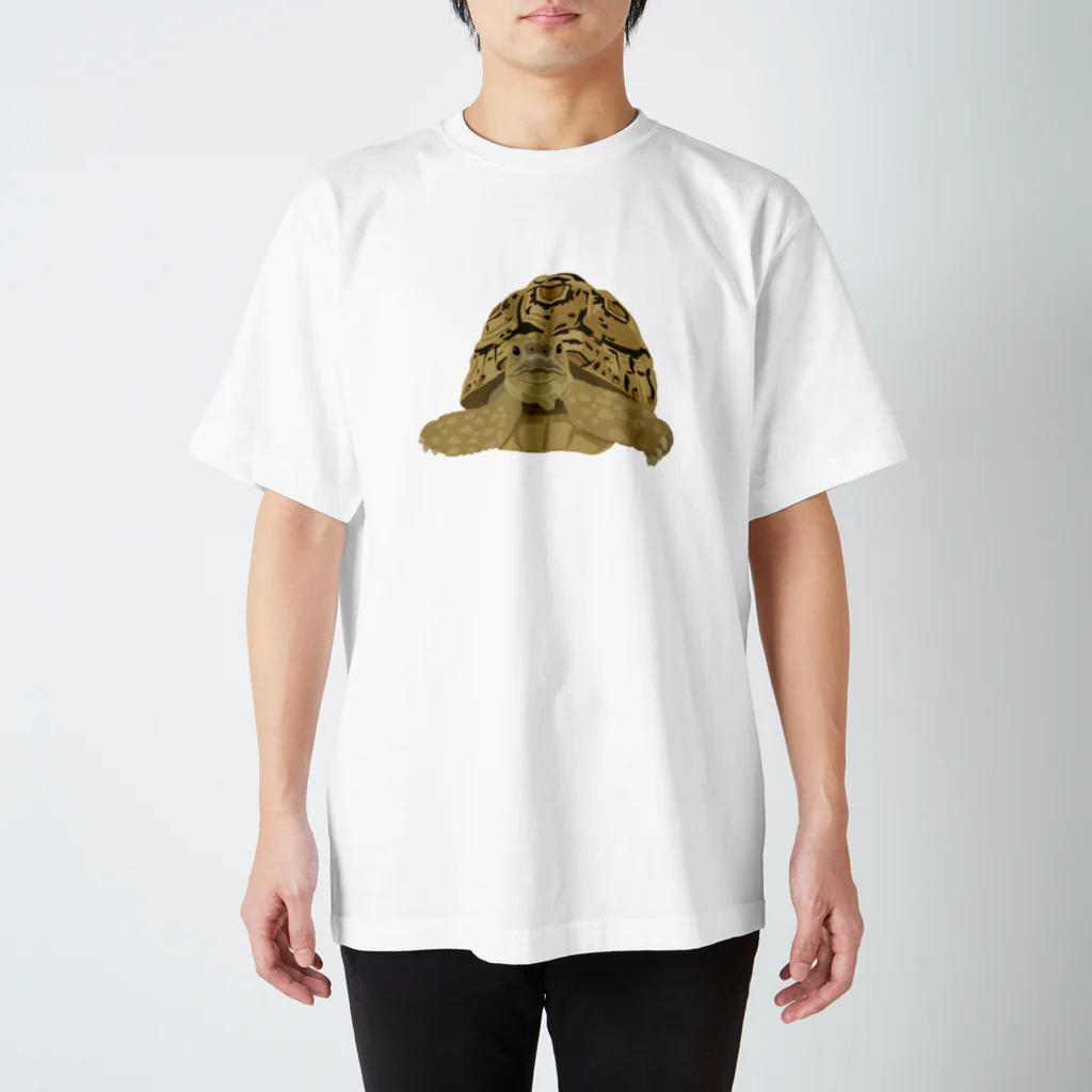 カメの歩みのヒョウモンガメ Regular Fit T-Shirt