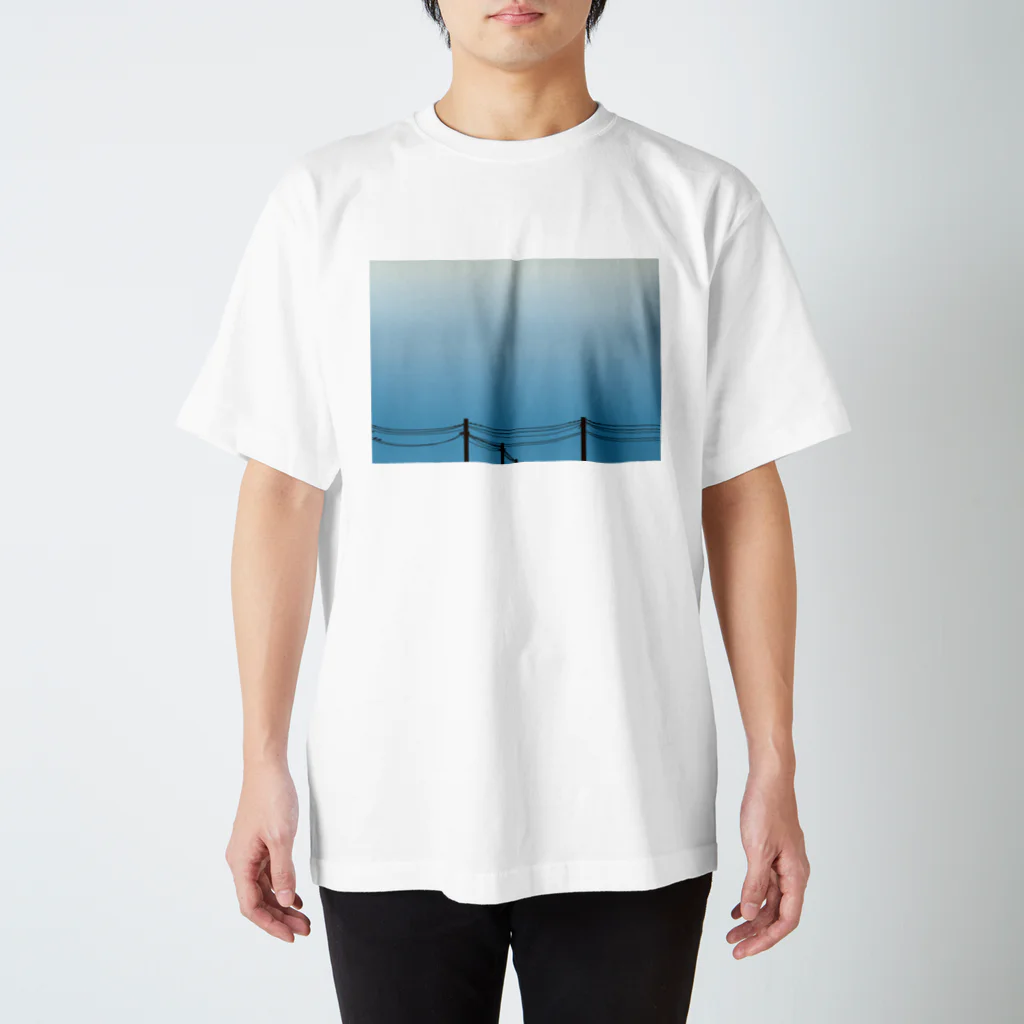 Bird Mole Hillの海底に差す光 Regular Fit T-Shirt