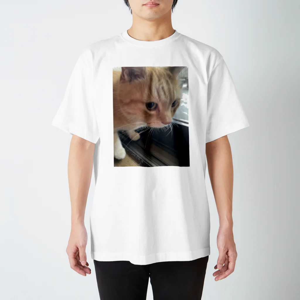 笑顔咲きのロン猫 Regular Fit T-Shirt