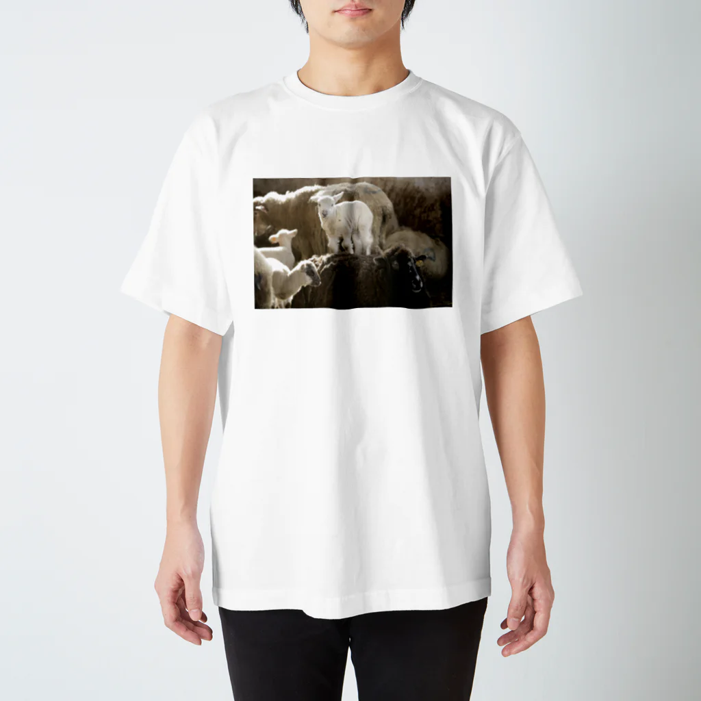 Erinorの背中子羊 Regular Fit T-Shirt