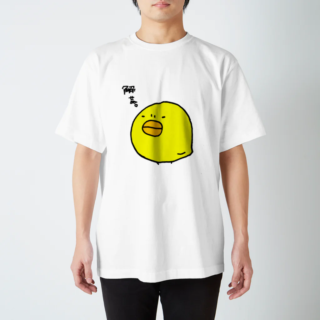 なんじゃもんじゃのキのぷっくりひよこ(解せぬ。) スタンダードTシャツ