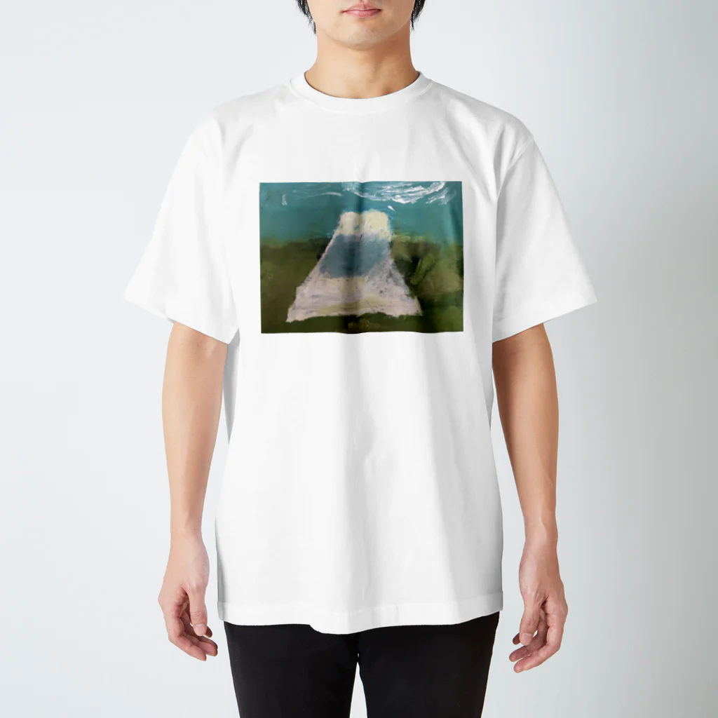 アーキ＆アートの富士山 スタンダードTシャツ