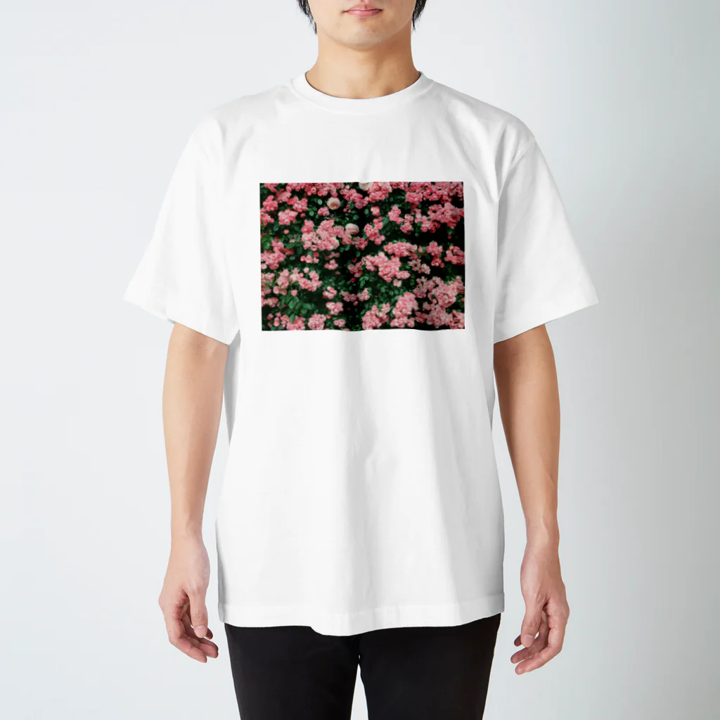 やまてるのROSE WALL Regular Fit T-Shirt