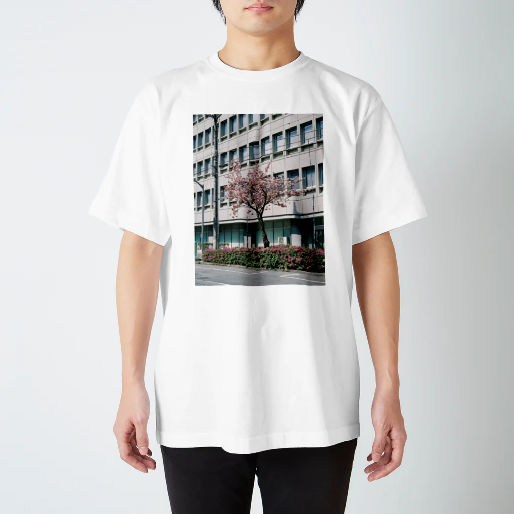 やまてるのdouble cherry blossom Regular Fit T-Shirt