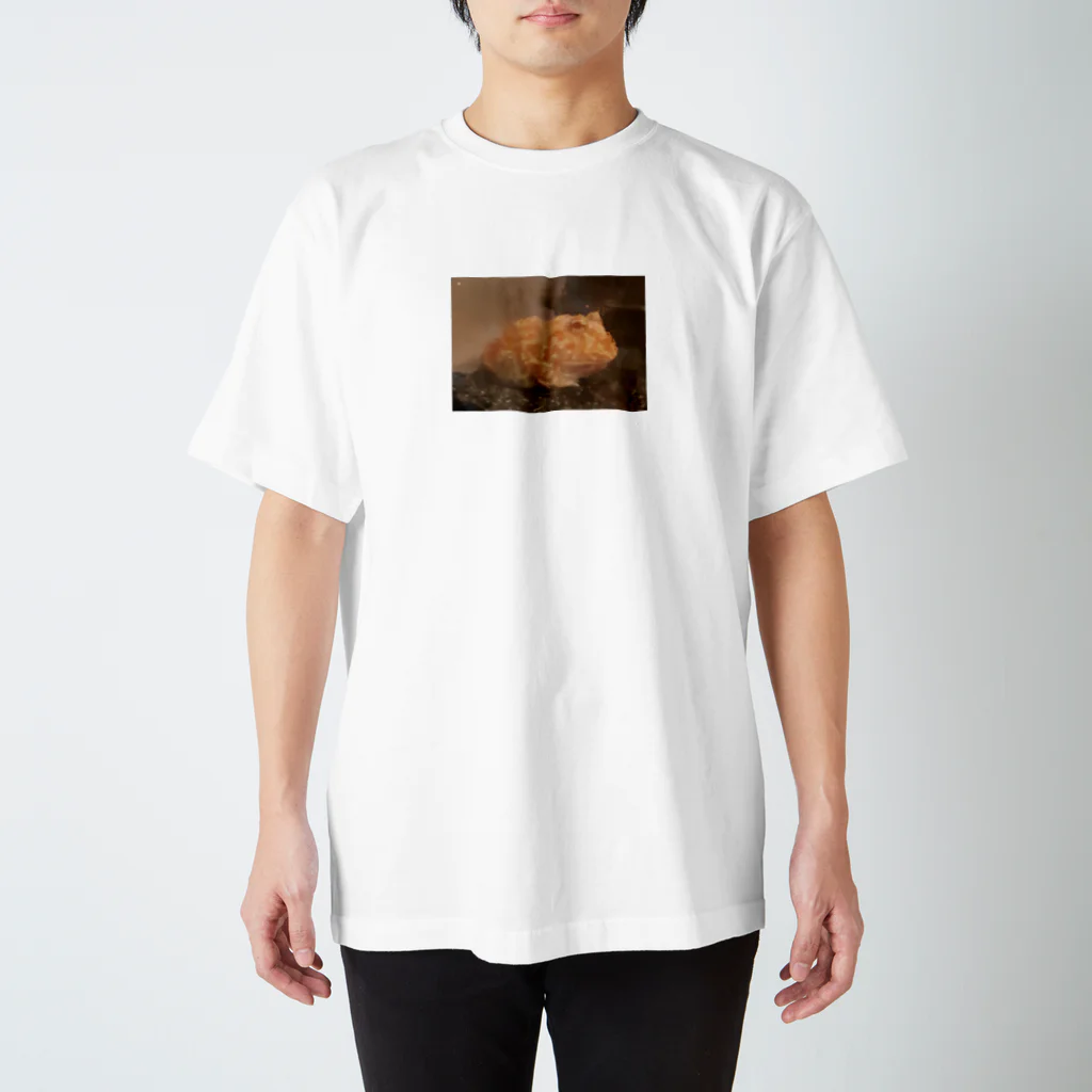 YOKOのSHOPのKoma Regular Fit T-Shirt