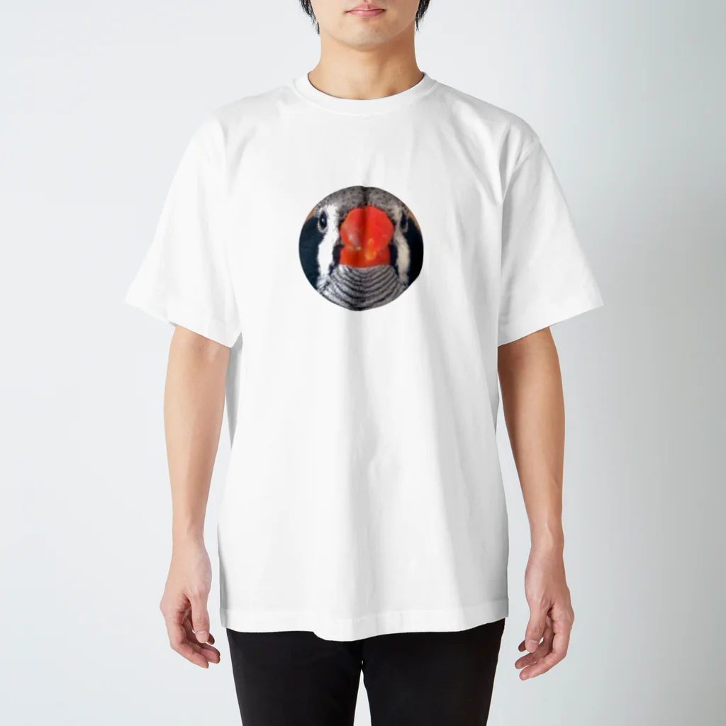 kotorino_sanpoの真顔キンカおとちゃん Regular Fit T-Shirt