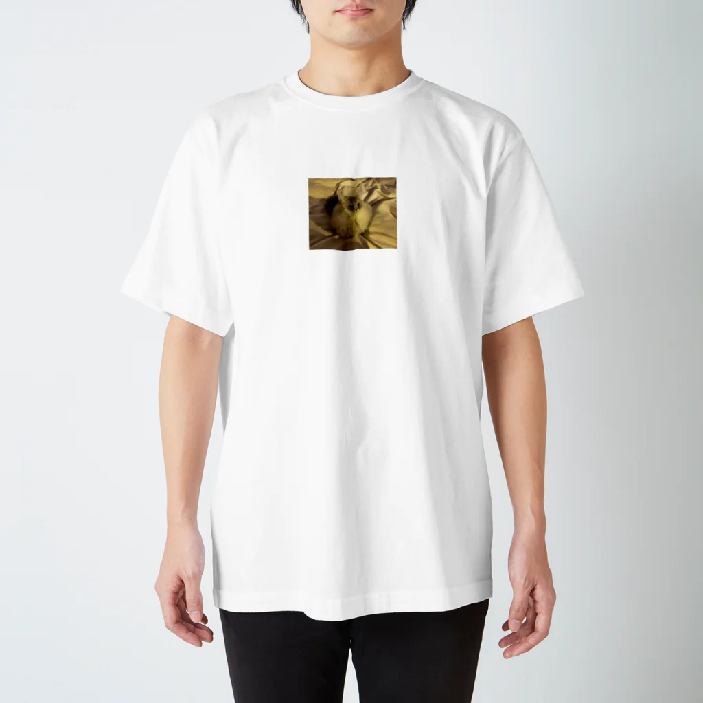 世界一可愛い猫グッズのまんまるなぱるくん Regular Fit T-Shirt