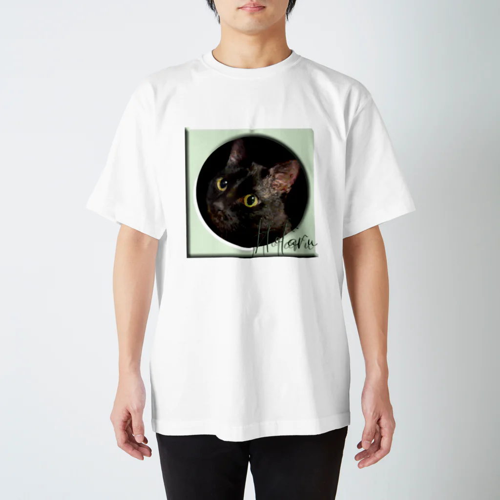 ぬくもふ屋　【猫 犬の似顔絵描き】のhotaru スタンダードTシャツ