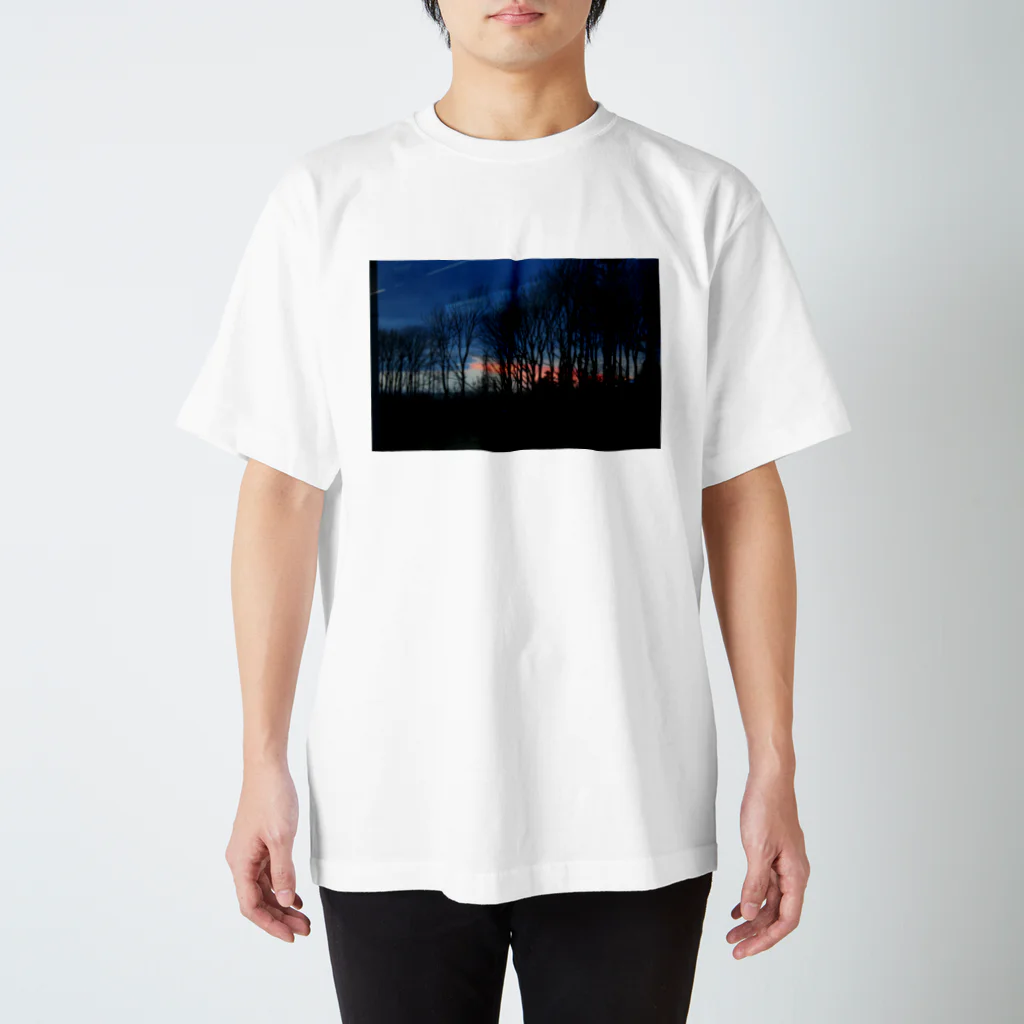 いっこのブライアンメイのギターの音が耳から離れなくなった夕方 スタンダードTシャツ