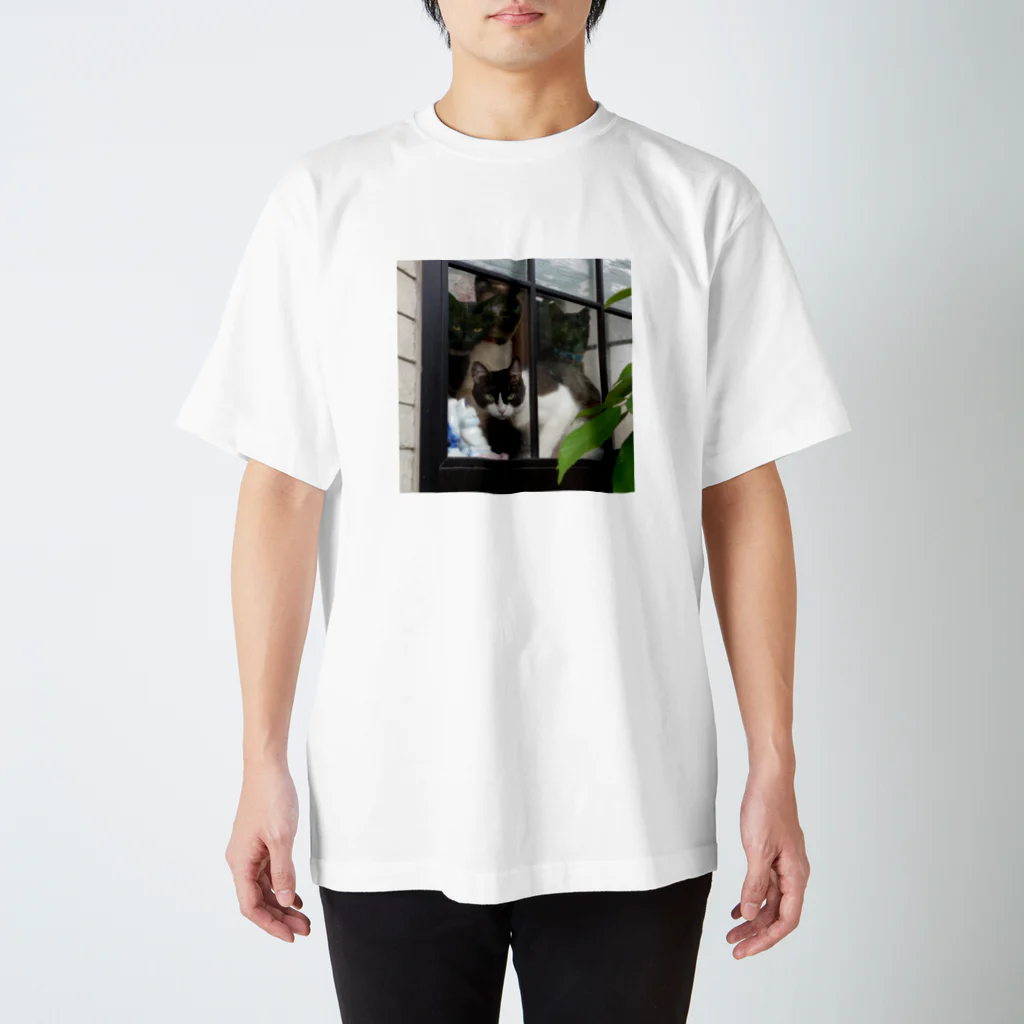 ショップ猫家族の猫家族 スタンダードTシャツ