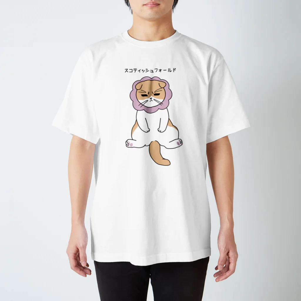 スイカんちの猫の不機嫌スコ スタンダードTシャツ