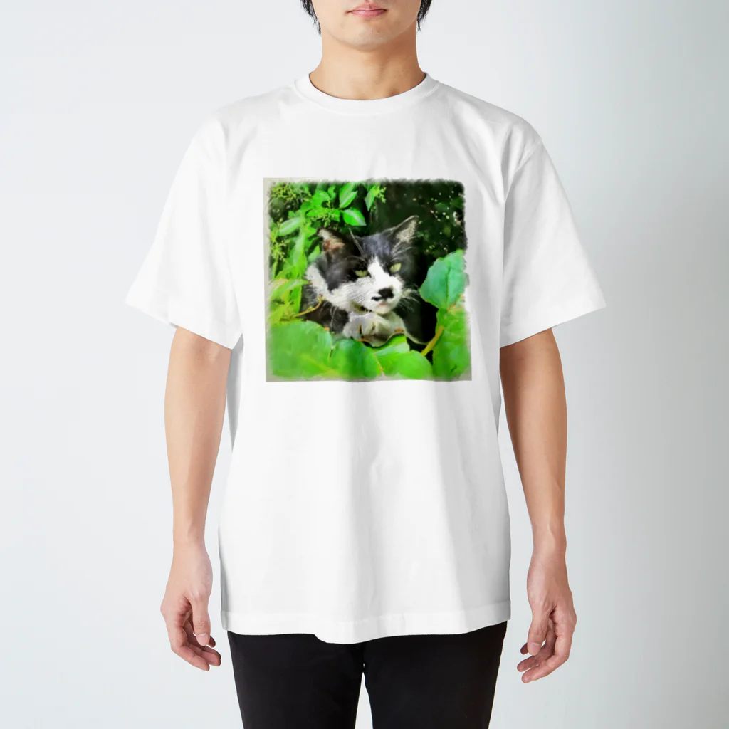 noise180の二枚目な猫 スタンダードTシャツ