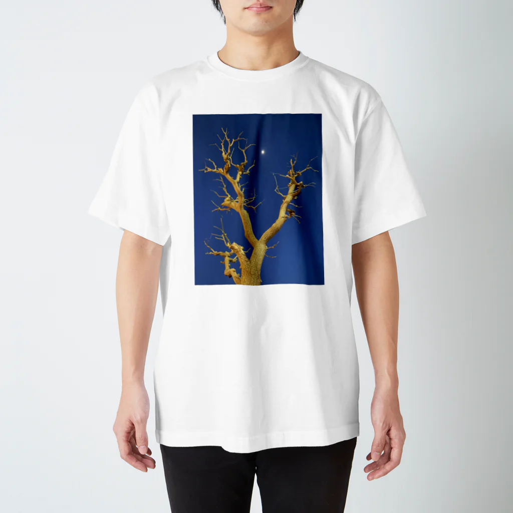 カケイプランツのDAIKANYAMA Regular Fit T-Shirt