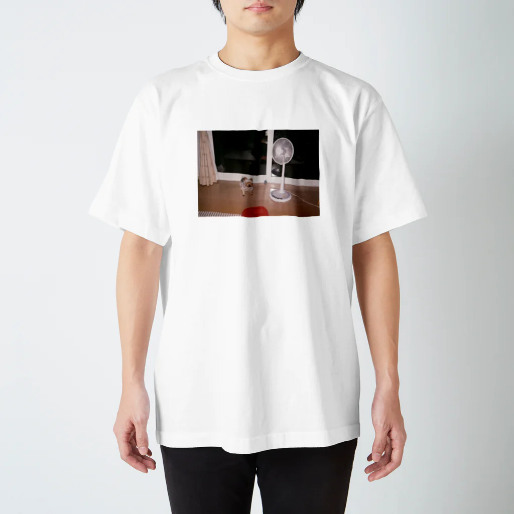 ずっと一緒の目ぴかぴからんぴ Regular Fit T-Shirt