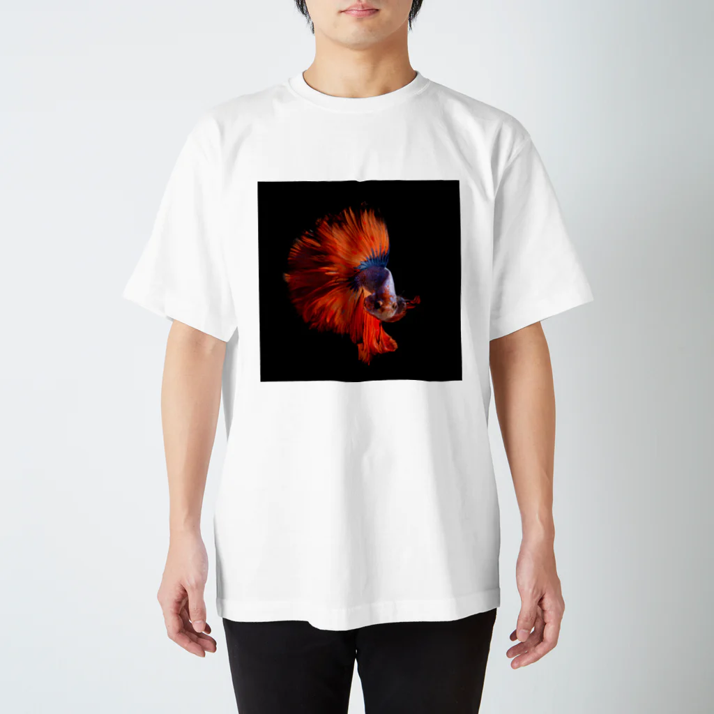 kingandqueenのnewhippies Regular Fit T-Shirt