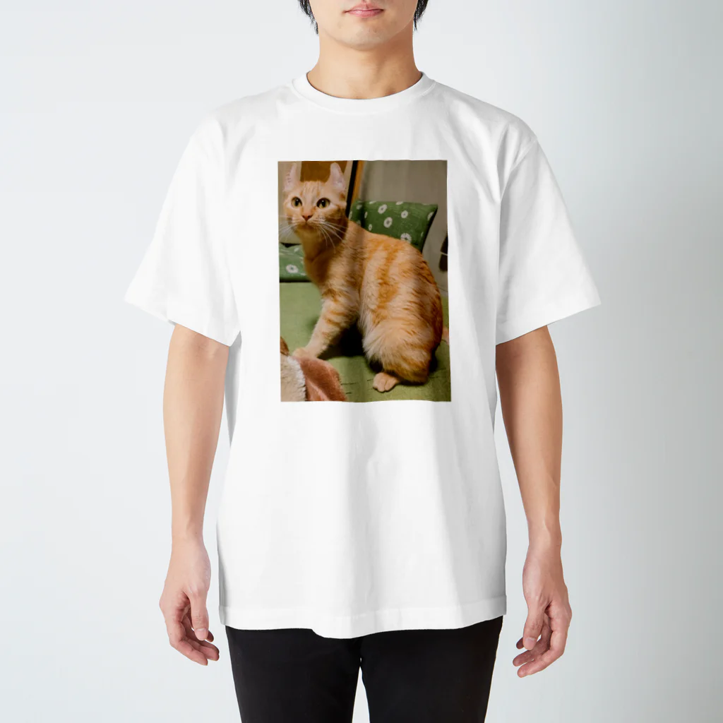 ふじちゃんの猫のまろんちゃんキーホルダー スタンダードTシャツ