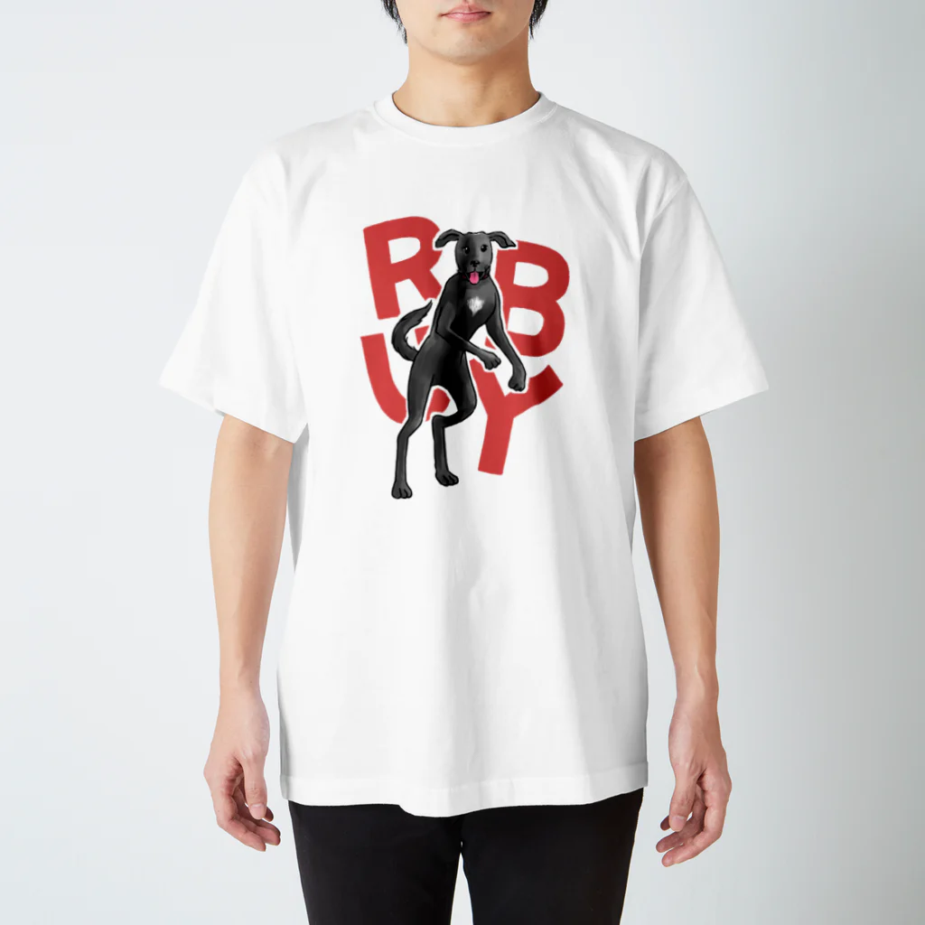 さんずい堂のルビー Regular Fit T-Shirt