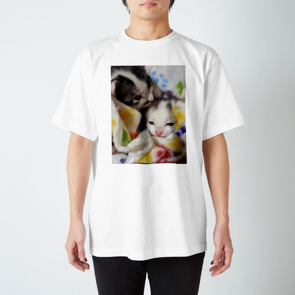 ササキ家のアニマルの子猫たち Regular Fit T-Shirt