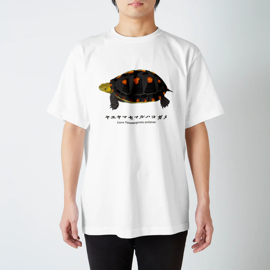 さちこの生物雑貨のヤエヤマセマルハコガメ Regular Fit T-Shirt