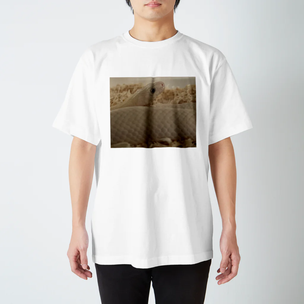 白蛇のゆずの白蛇のゆず Regular Fit T-Shirt