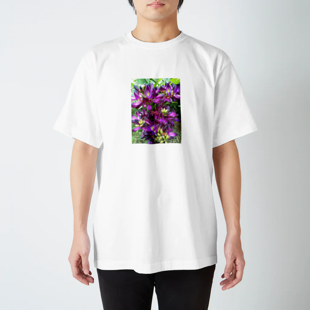 梅さんの夏藤 Regular Fit T-Shirt