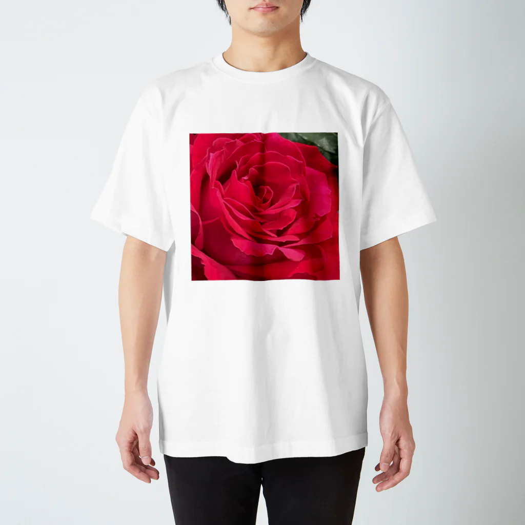 あゆのしおやきのバラ Regular Fit T-Shirt