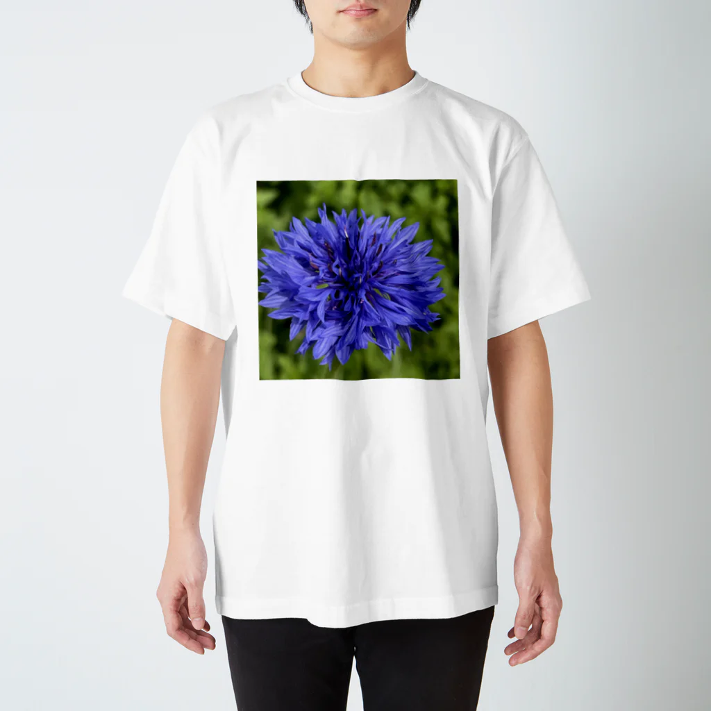 あゆのしおやきのヤグルマギク(青) Regular Fit T-Shirt