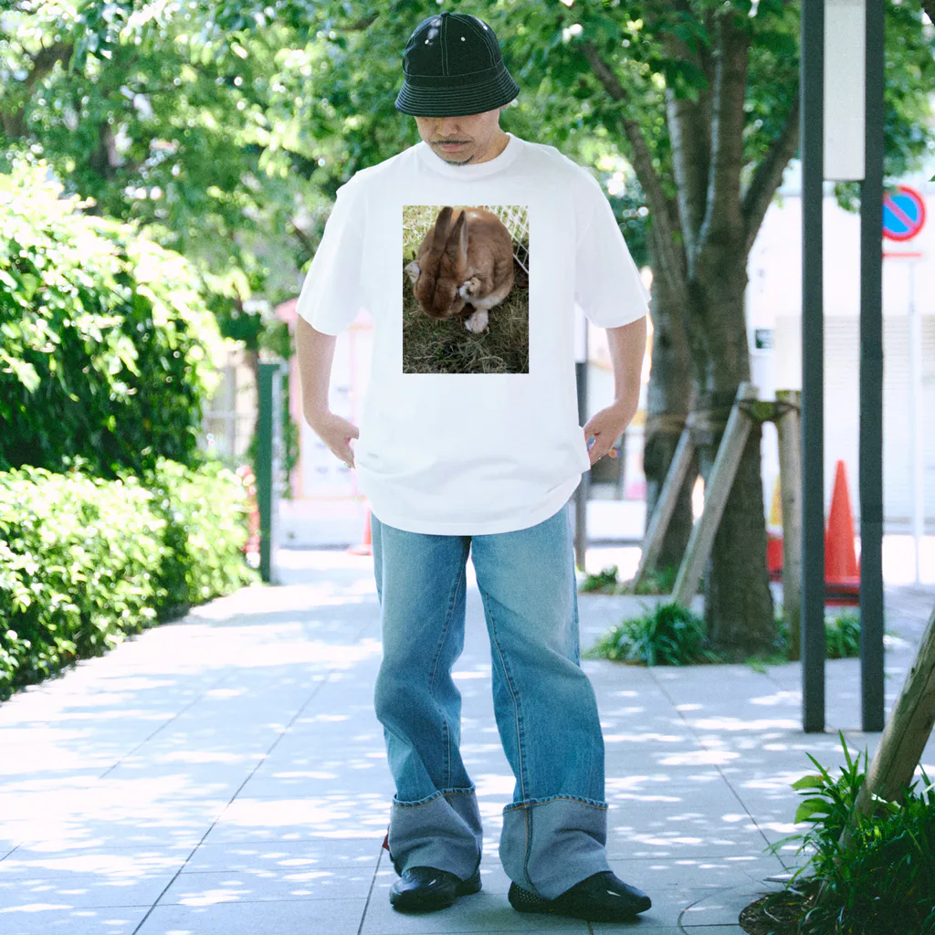 うさぎのうさんぽアイテム Regular Fit T-Shirt