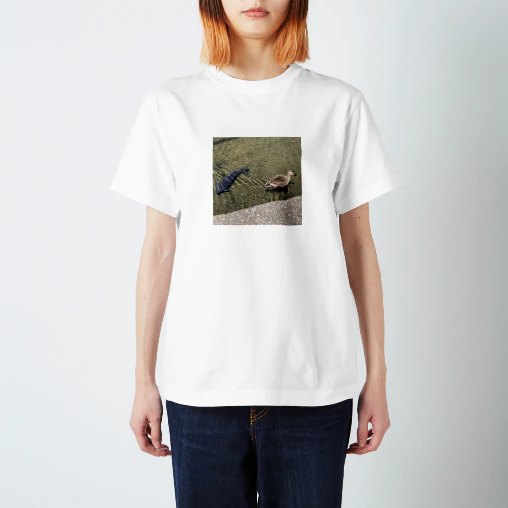 富士山の鯉と鴨と小魚 スタンダードTシャツ