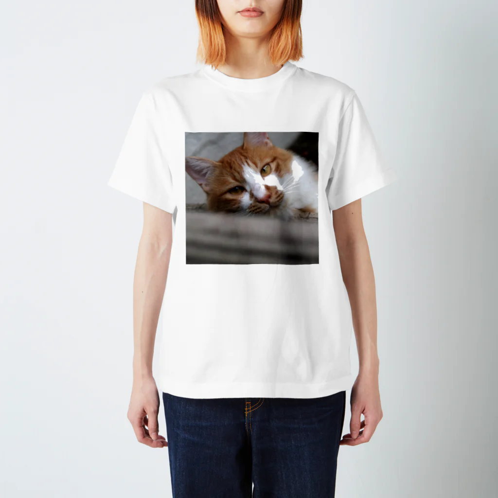 高野寛のSUZURIのcat's eye スタンダードTシャツ