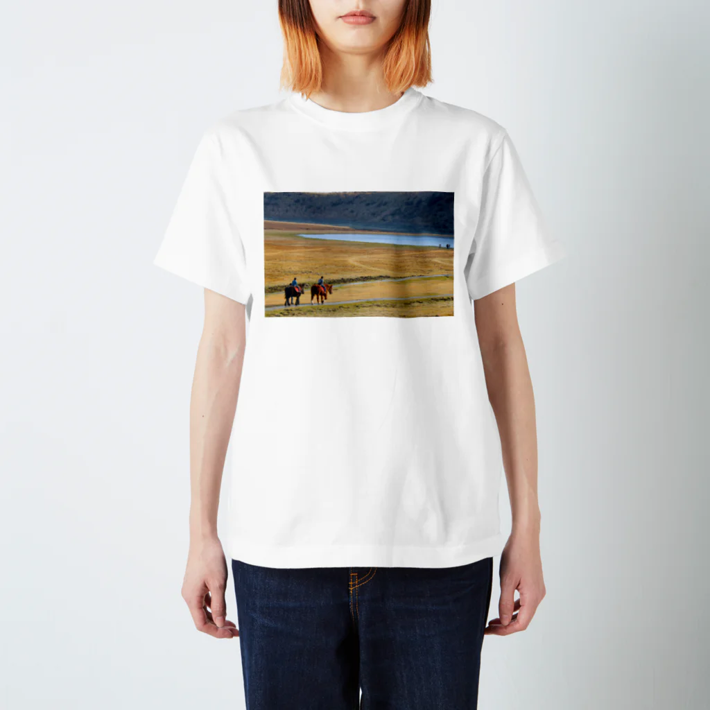 Shotfelice -Kimihiko Ikeda-の草千里ヶ浜と馬 スタンダードTシャツ