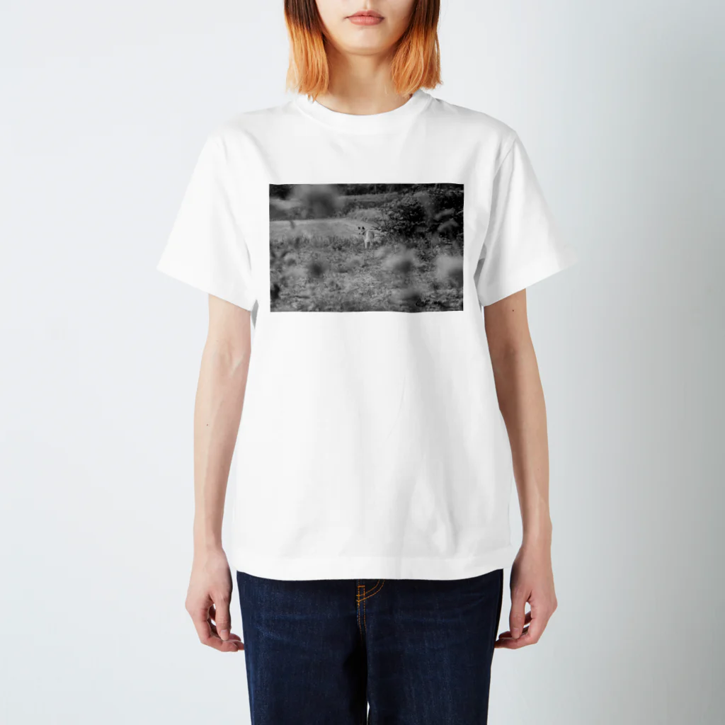 NEKOTORU（ねことる）のPiccolo Flower mono Regular Fit T-Shirt