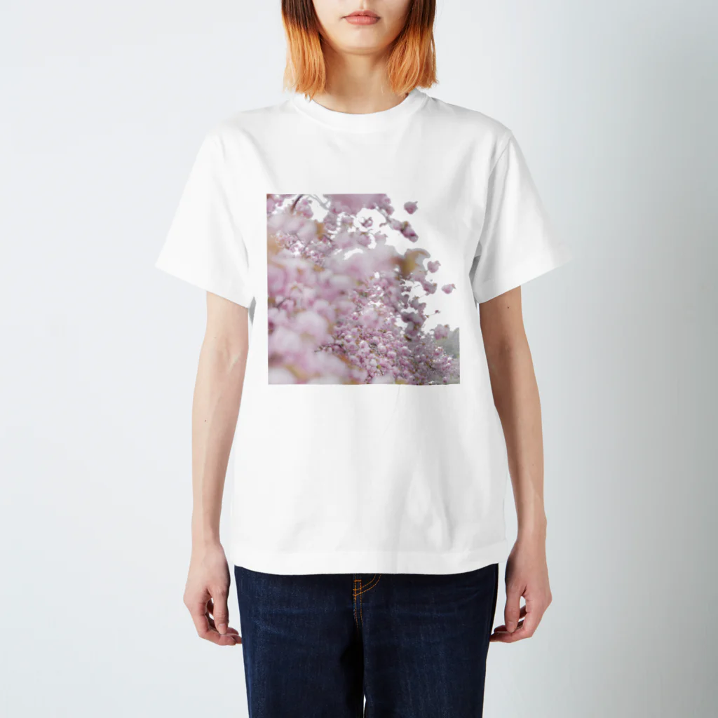 MASIA-AIRLINEのthe last spring. スタンダードTシャツ