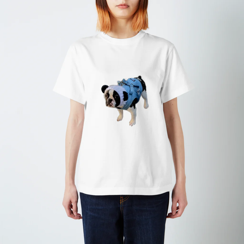 buhibuhi🐶のブヒパンダ🐼 スタンダードTシャツ