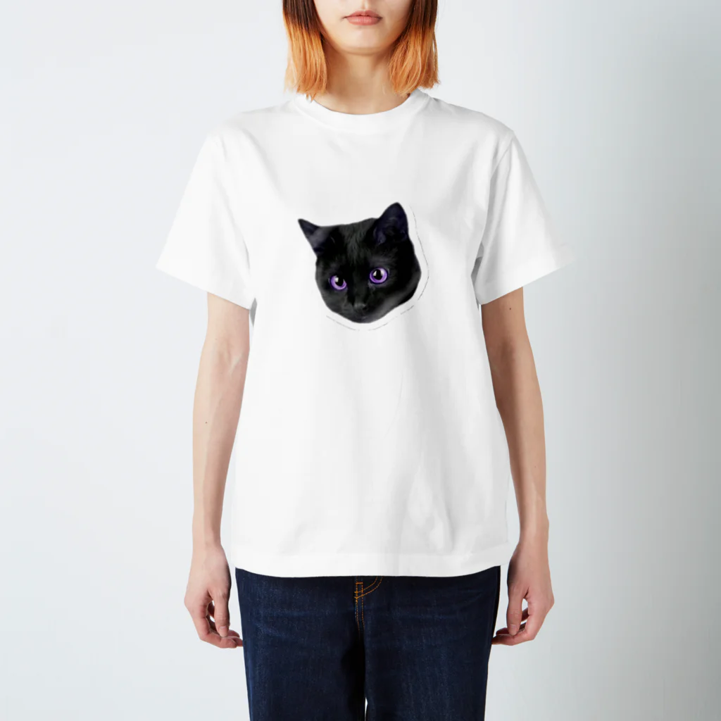 間歇性外斜視のねこ Regular Fit T-Shirt