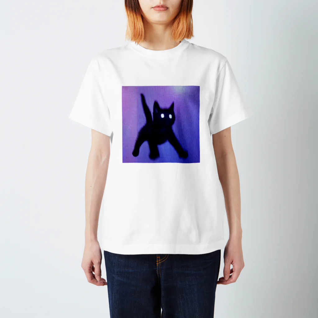 間歇性外斜視のねこ Regular Fit T-Shirt