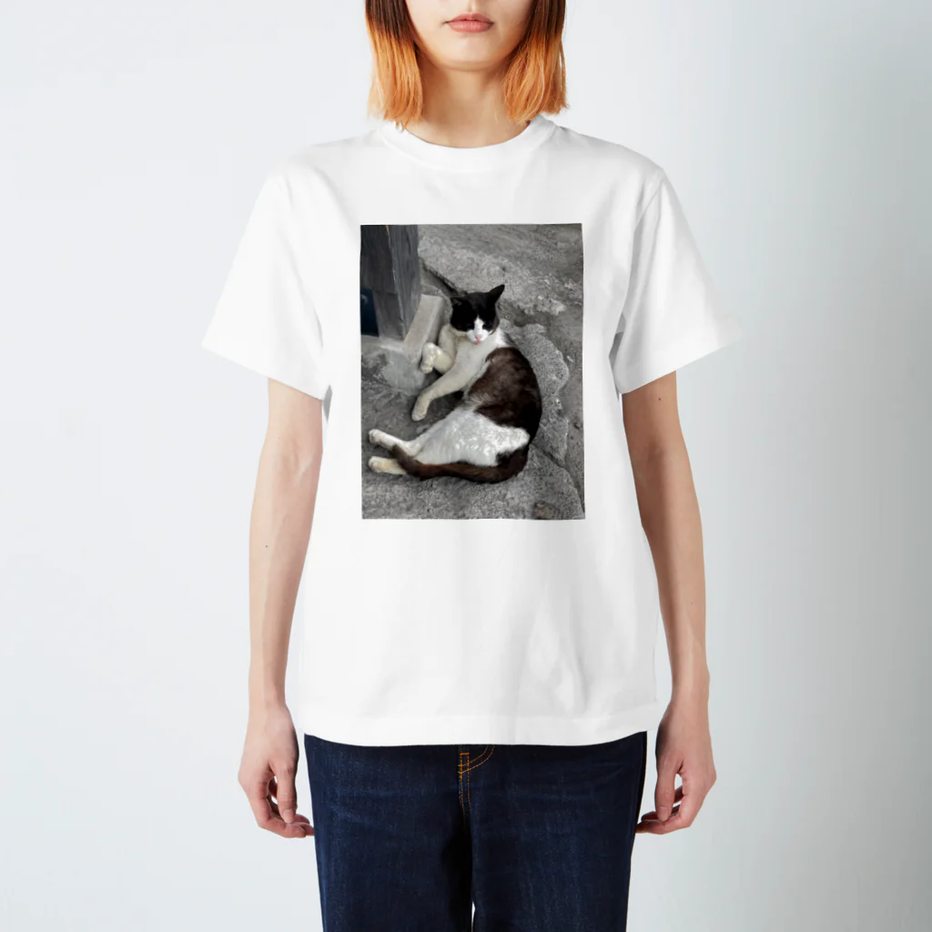 ぶちゃ猫・茶々丸オフィシャルショップの駅にいたにゃんこかわいいね スタンダードTシャツ