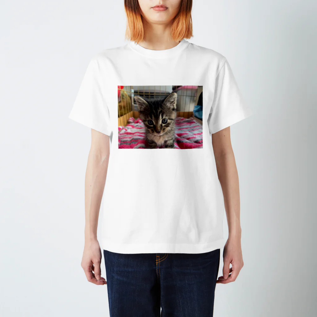 しっぽのパラソルのkirumi Regular Fit T-Shirt
