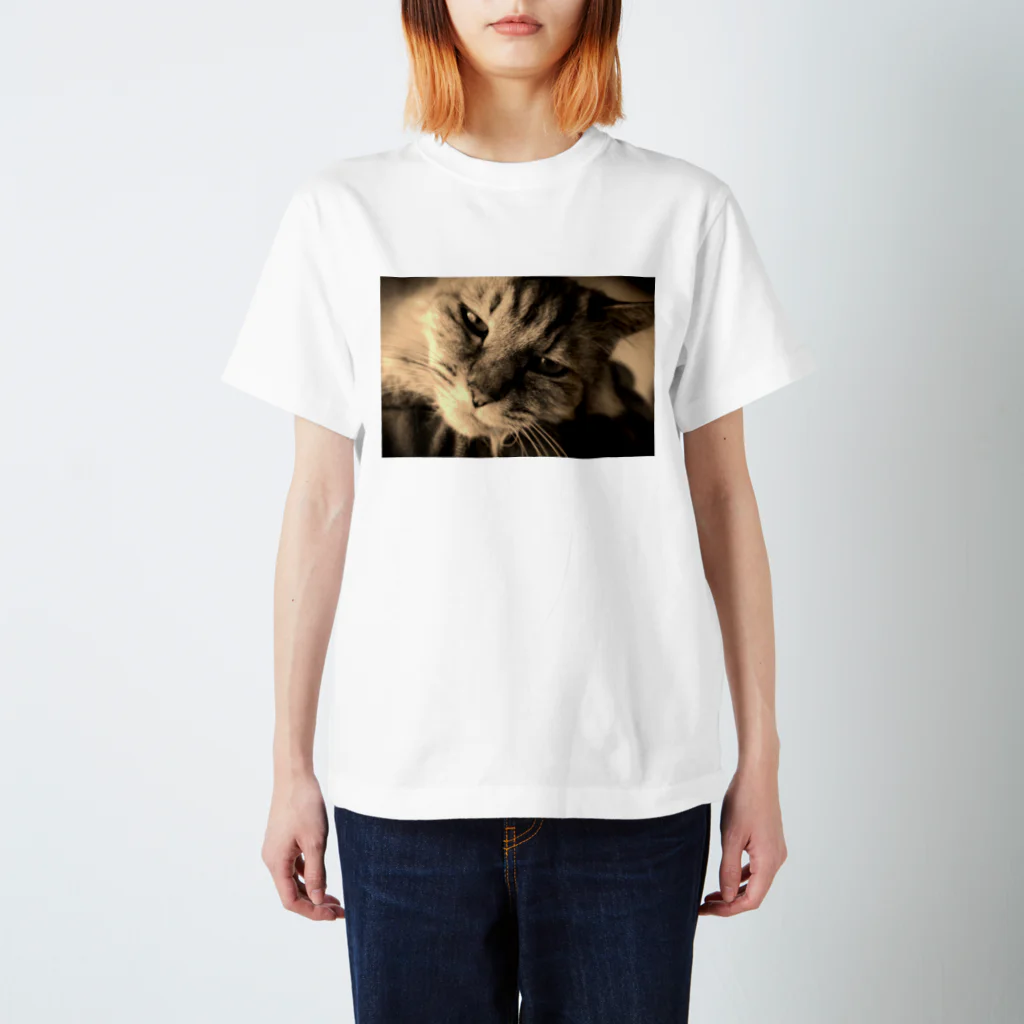 kurodoteのあまえんぼうの猫のチー スタンダードTシャツ