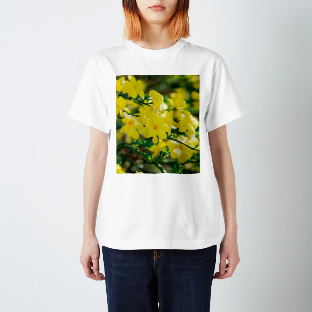 akane_art（茜音工房）の癒しの風景（オウバイ） Regular Fit T-Shirt