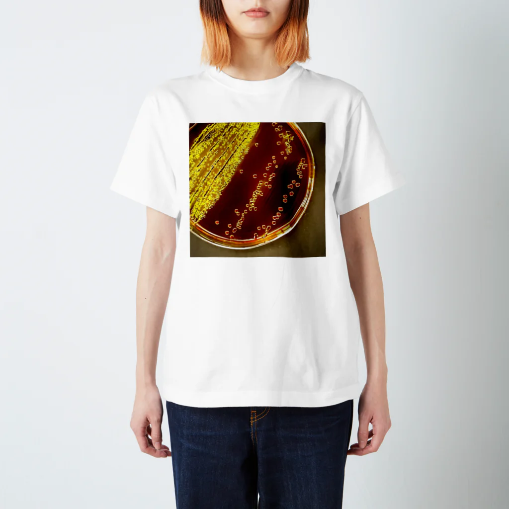 かぼす(BOSS)のColiform bacteria ～EMB agar～ スタンダードTシャツ