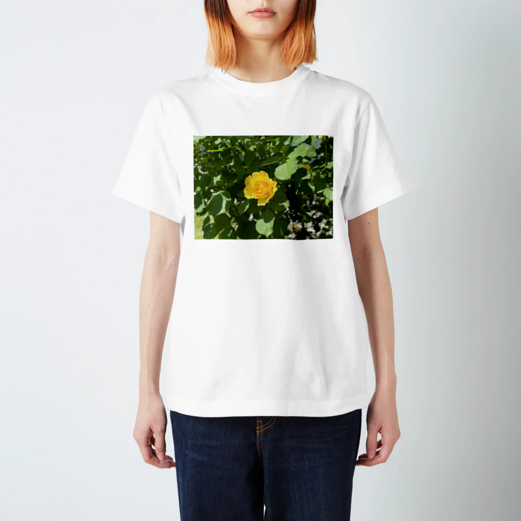 風景屋の夏の羽 Regular Fit T-Shirt