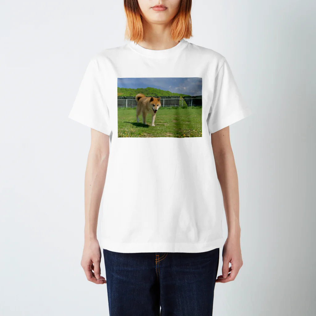 柴犬と柴犬の初夏と柴犬(両面) Regular Fit T-Shirt