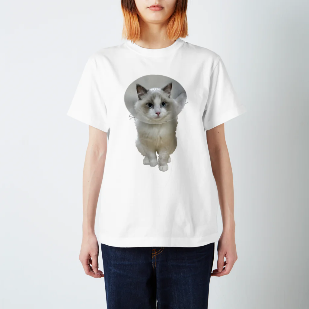 ぱわー!の飼い猫のグッズ3 Regular Fit T-Shirt