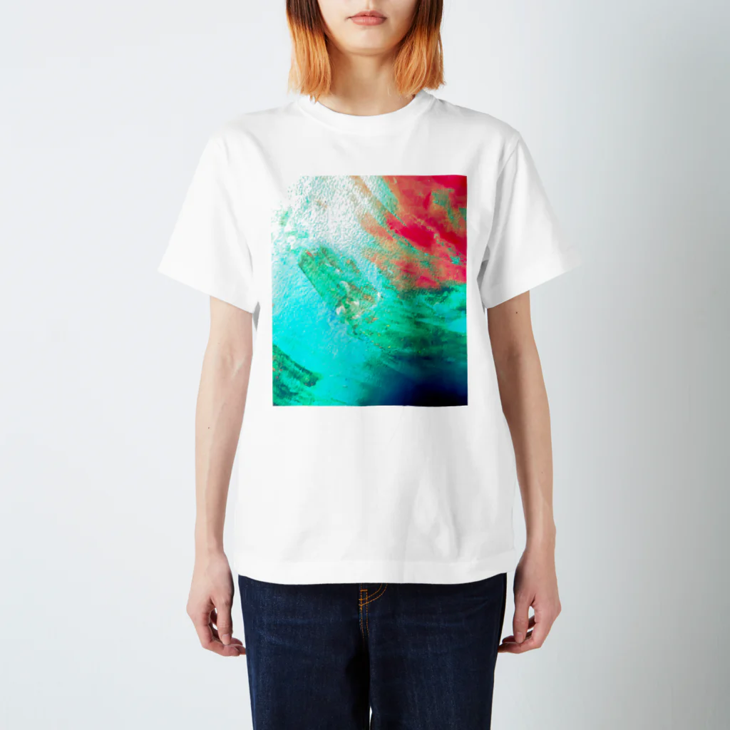 Hibiscus BLUE’sのSURF  Regular Fit T-Shirt