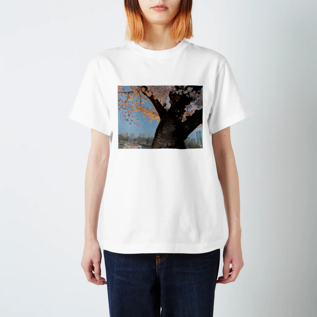 chapnの川桜 Regular Fit T-Shirt