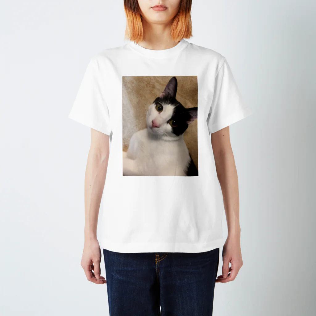 猫好きのネコ スタンダードTシャツ